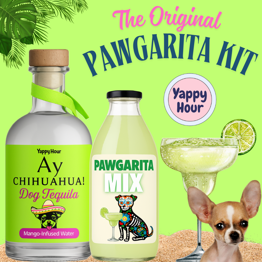 Margarita Kit for Dogs (Pawgarita), 6ct