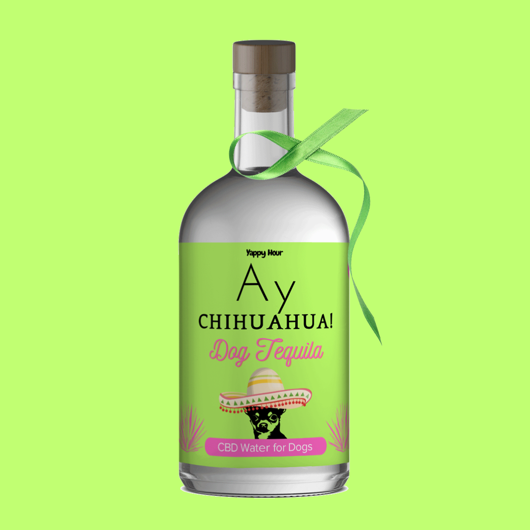 Ay Chihuahua! 375mL | 6ct