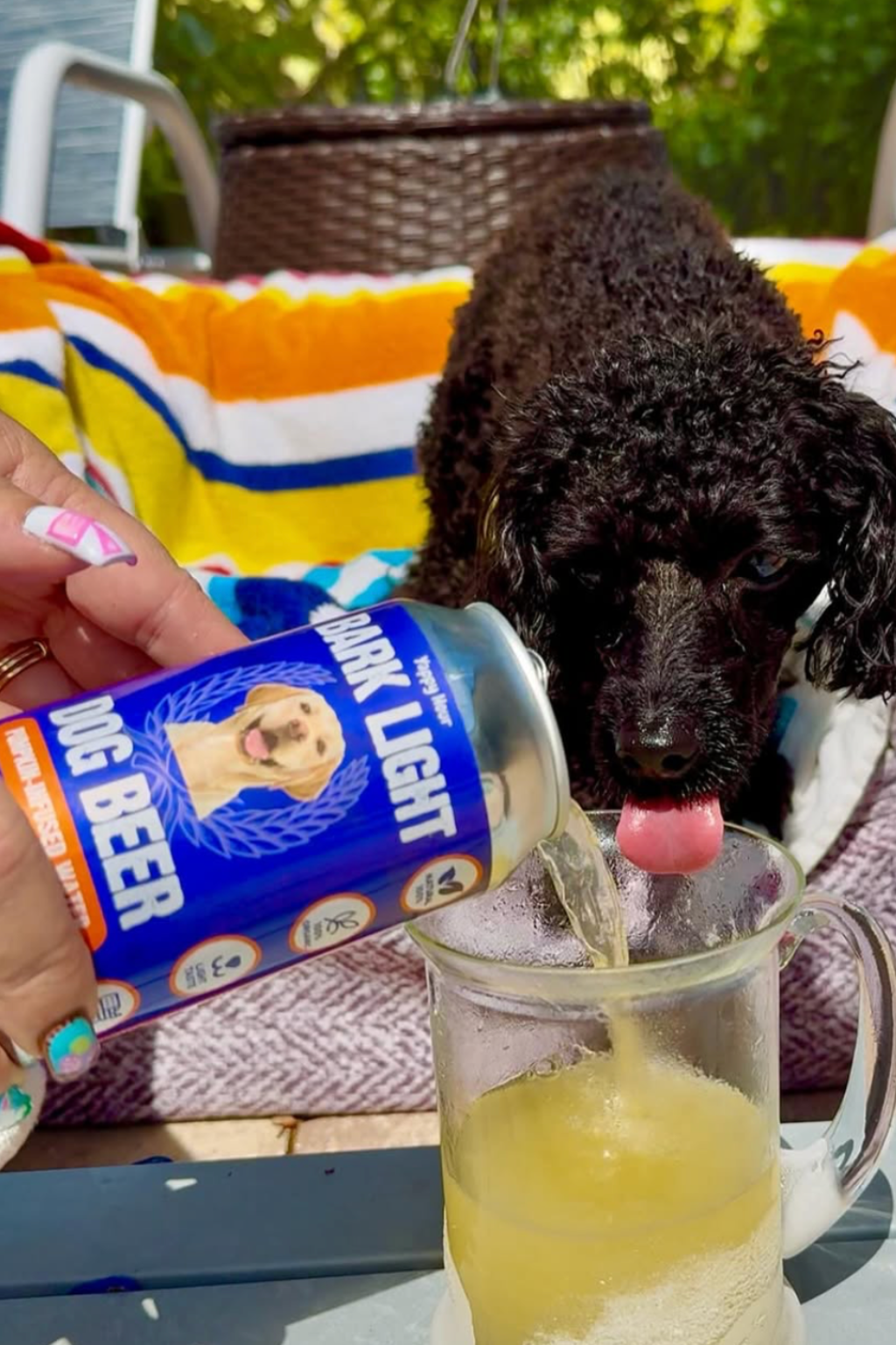 The Ultimate Yappy Hour Variety Pack