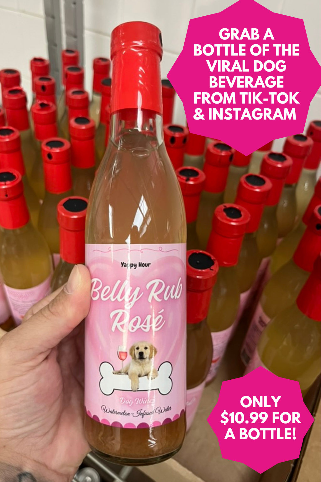 Belly Rub Rosé 375mL | 6ct