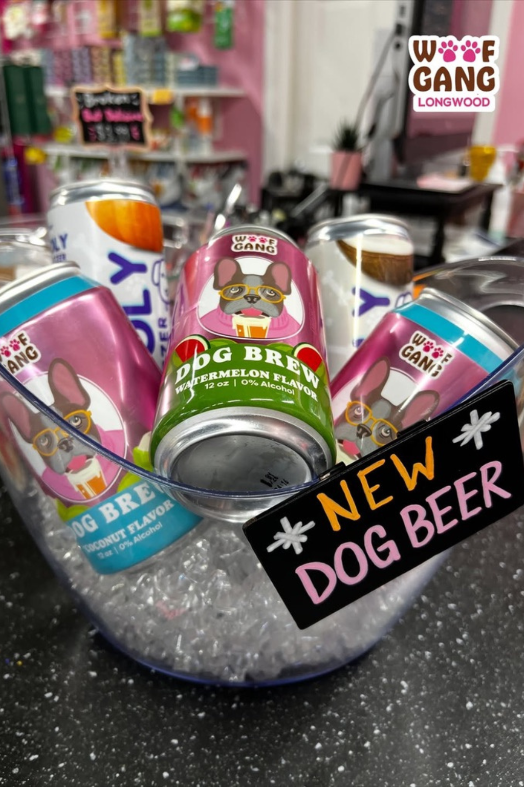 Woof Gang Dog Brew | Pumpkin 12ct