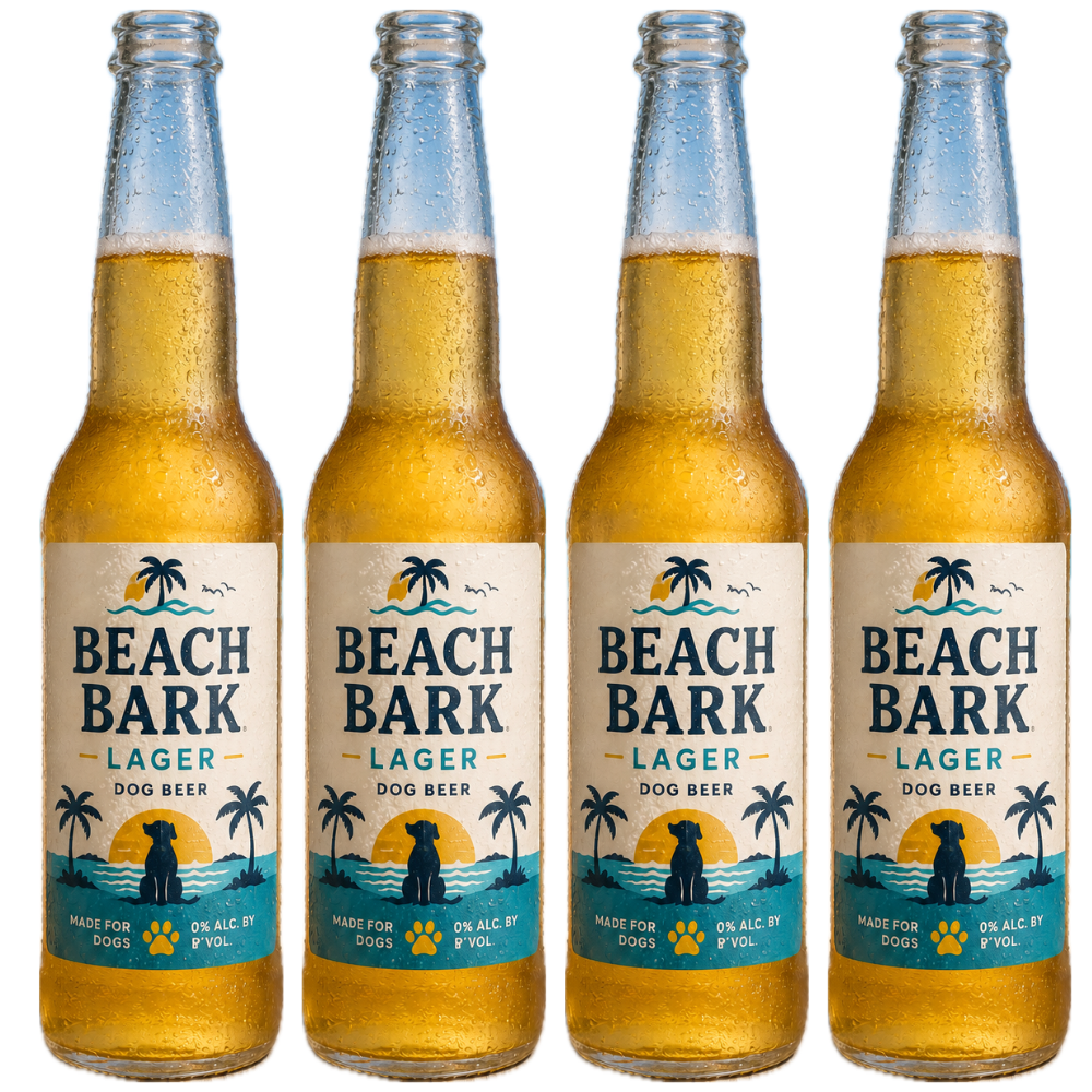 Beach Bark Dog Beer 12oz | Pumpkin | 10ct