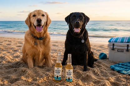 Beach Bark Dog Beer 12oz | Pumpkin | 10ct