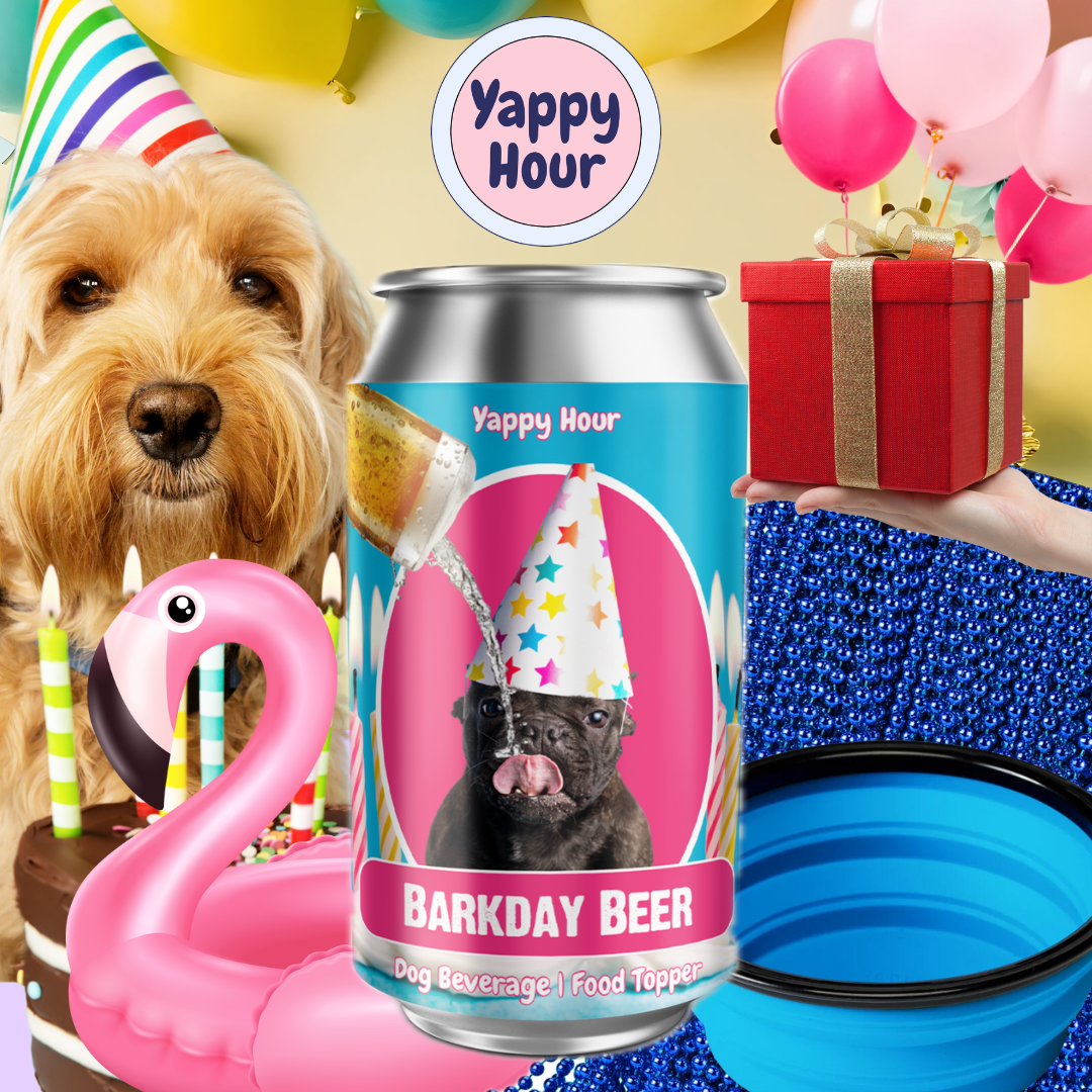 Barkday Beer | Watermelon | 24ct