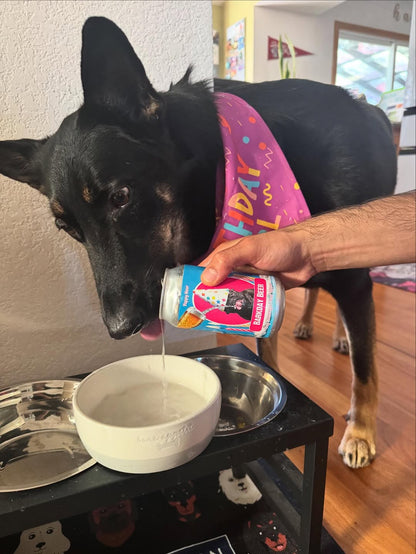 Barkday Beer | Watermelon | 24ct