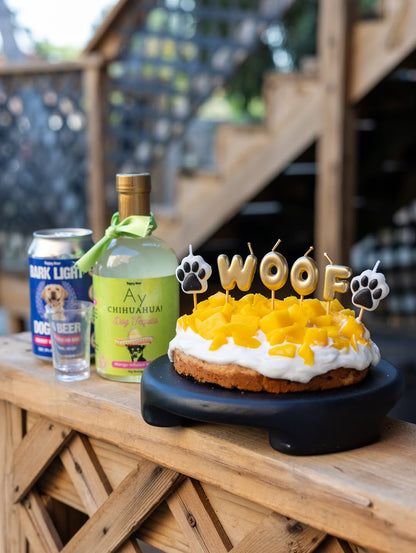 Margarita Kit for Dogs (Pawgarita), 6ct