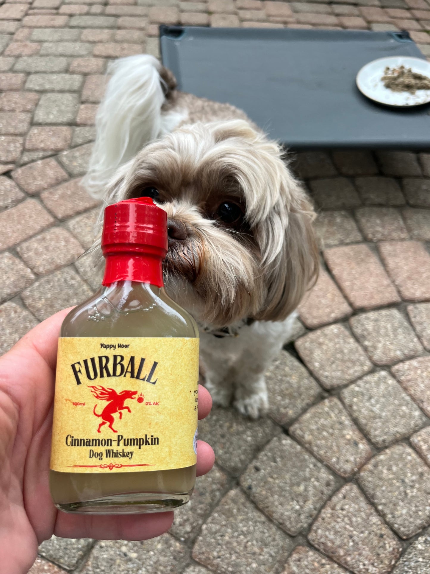 Furball Dog Whiskey Miniatures 12ct
